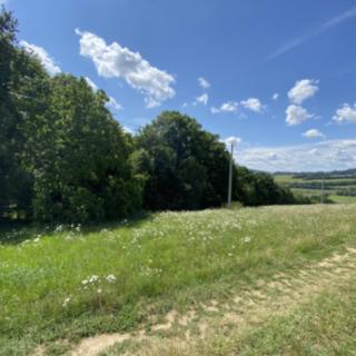 Prodej lesa 908 m² Libina
