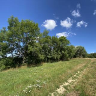 Prodej ostatního pozemku 6 659 m² Libina