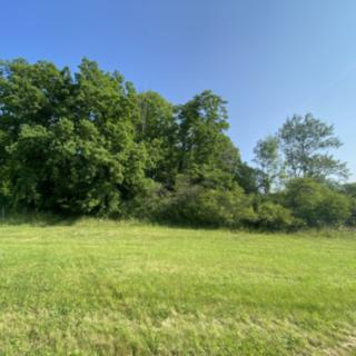 Prodej lesa 2 228 m² Roštění