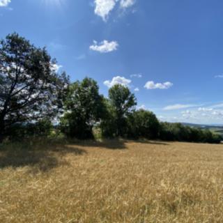 Prodej ostatních pozemků 6659 m² Libina