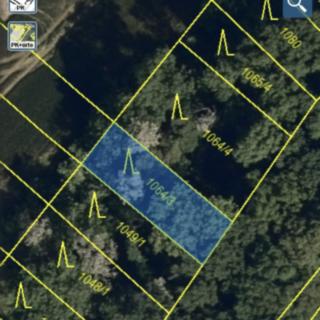 Prodej lesa 204 m² Mistřice
