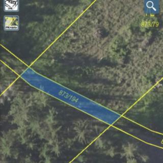 Prodej lesa 222 m² Kladruby