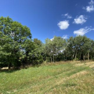 Prodej ostatního pozemku 6 659 m² Libina