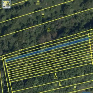 Prodej lesa 295 m² Drslavice