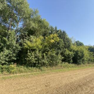 Prodej lesa 1527 m² Pavlov