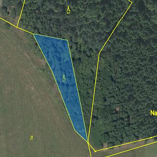 Prodej lesa 1 644 m² Čepřovice