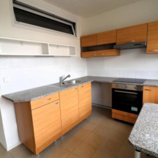Pronájem bytu 2+1 50 m² Děčín IX-Bynov, Na Pěšině