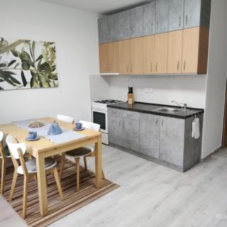 Pronájem bytu 2+kk 54 m² Děčín III-Staré Město, Žerotínova