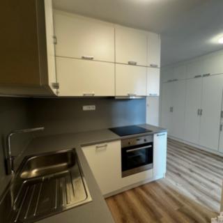 Pronájem bytu 1+1 40 m² Praha