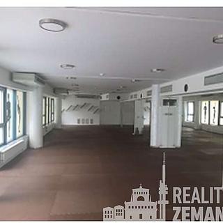 Pronájem ostatního komerčního prostoru 360 m² Praha Vinohrady, Chrudimská