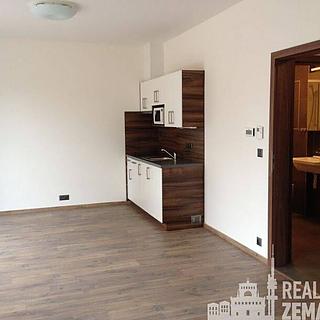 Pronájem bytu 1+kk a garsoniéry 38 m² Praha Michle, Hanusova