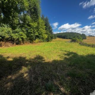 Prodej stavební parcely 3 907 m² Málkov Vysoká
