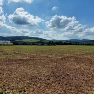 Dražba ostatního pozemku 85 296 m² Kuřim, Zámecká