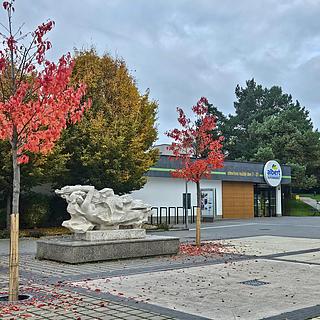 Dražba komerčního pozemku 1782 m² Brno