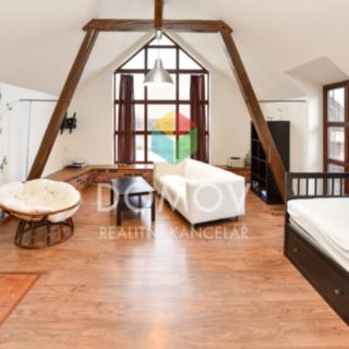 Pronájem bytu 1+kk, garsoniery 60 m² Chodouň