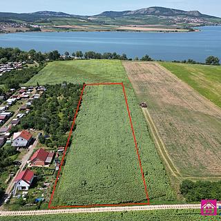 Prodej stavební parcely 9 500 m² Přítluky Nové Mlýny