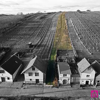 Prodej ostatního pozemku 2 567 m² Bořetice