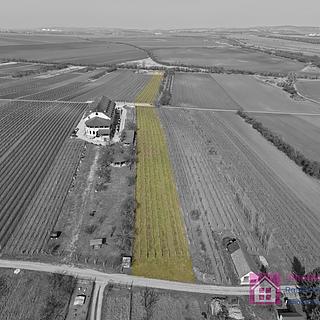 Prodej ostatních pozemků 9203 m&sup2; Rakvice