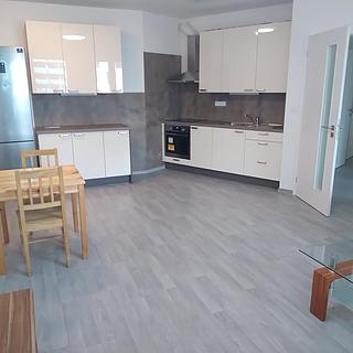 Pronájem bytu 3+kk 71 m² Praha Žižkov, Olgy Havlové