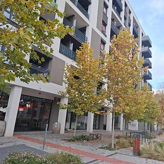 Pronájem kanceláře 71 m² Praha Žižkov, Olgy Havlové