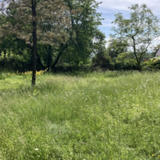 Prodej stavební parcely 1298 m² Loučeň