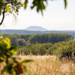 Prodej stavební parcely 6 555 m² Mělník