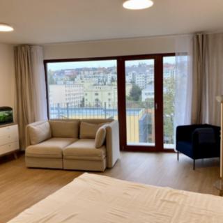 Pronájem bytu 1+kk, garsoniery 48 m² Praha