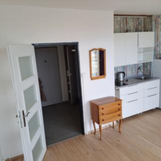 Pronájem bytu 1+kk, garsoniery 35 m² Praha