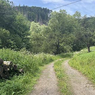 Prodej stavební parcely 16000 m&sup2; Jablonec nad Jizerou