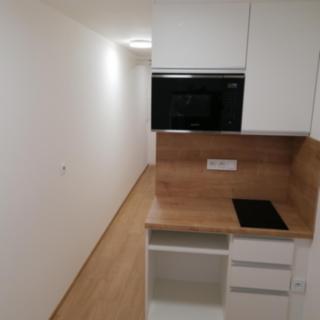 Pronájem bytu 1+kk a garsoniéry 24 m² Praha, U dělnického cvičiště