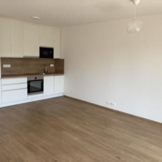 Pronájem bytu 1+kk, garsoniery 48 m² Praha