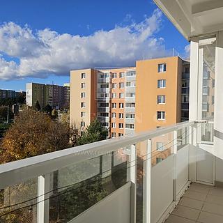 Pronájem bytu 1+kk a garsoniéry 32 m² Brno Bohunice, Okrouhlá
