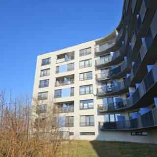 Pronájem bytu 1+kk a garsoniéry 35 m² Brno Líšeň, Horníkova
