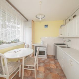 Pronájem bytu 1+1 42 m² Mladá Boleslav II, Na Radouči