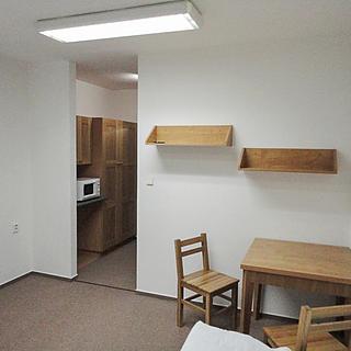 Pronájem bytu 1+kk, garsoniery 20 m² Mladá Boleslav