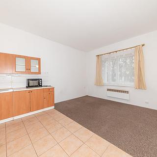 Prodej bytu 1+kk a garsoniéry 25 m² Doksy, Lidická