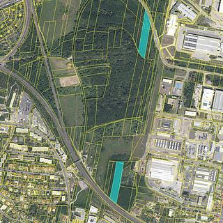 Prodej lesa 12598 m&sup2; Praha