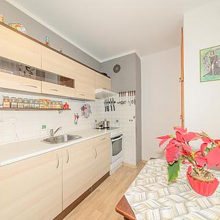 Prodej bytu 2+1 50 m² Doksy, Hálkova