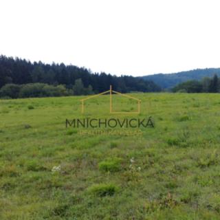 Prodej louky 27 000 m² Mnichovice, Hrusická