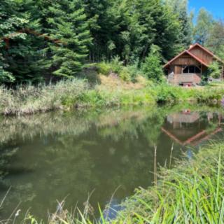 Prodej chaty 46 m² Chuchelna