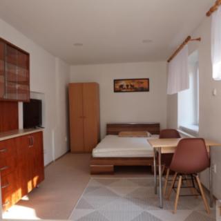 Prodej bytu 1+kk, garsoniery 23 m² Olomouc