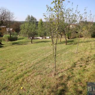 Prodej stavební parcely 1 000 m² Havířov Dolní Datyně