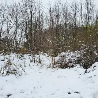 Smazaná nemovitost