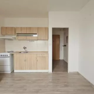 Pronájem byty 1+1 34 m²