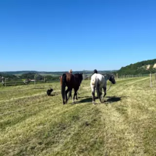 Prodej stavební parcely 25 976 m²