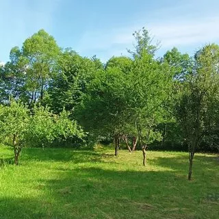 Prodej stavební parcely 1 649 m²