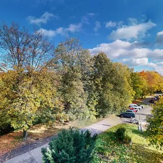 Pronájem byty 2+1 54 m²