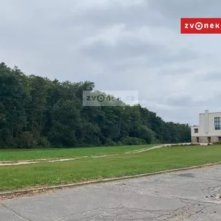 Prodej lesy 7 235 m²