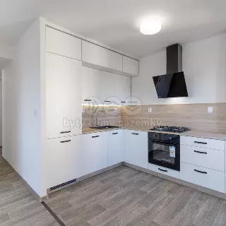 Prodej byty 2+1 41 m²