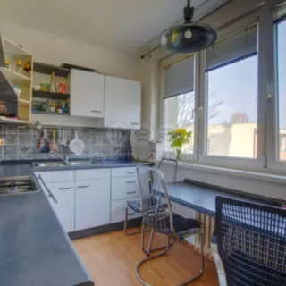 Prodej byty 3+1 55 m²